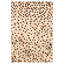 Tapis ivoire / bleu Haki