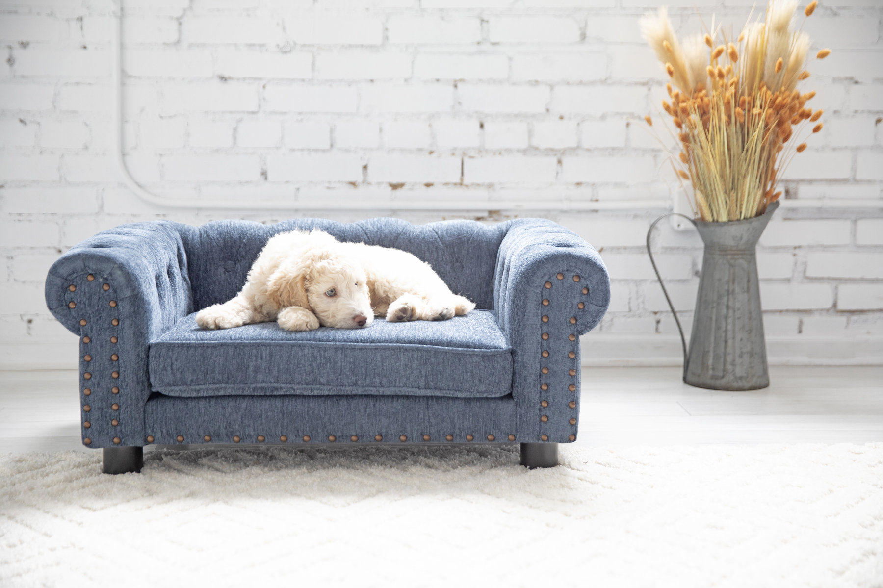 La-Z-Boy Tucson Furniture Dog Sofa Bed & Reviews | Wayfair
