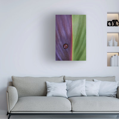 Contemporary
