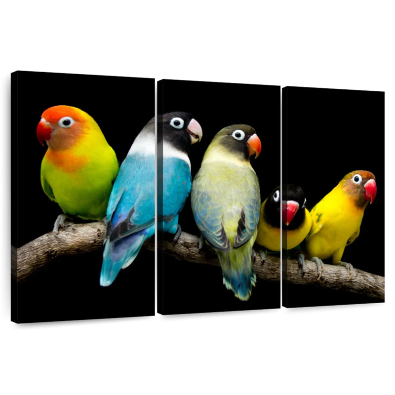 Brampt Five Lovebird Pets, 32" H x 50" W