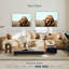 Dogue français Brampt s'ennuie-108930696