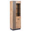 Tanay Glass and Iron 60 cm W Display Cabinet