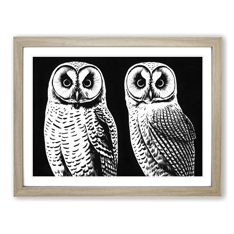 Owls - Framed Print, 46cm H x 64cm W, Oak Framed