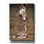  «A Mothers Love» par Inconnu, art mural sur toile, 12 po x 18 po-1874009428