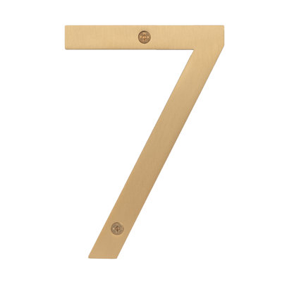 Stainless Steel house number, 6"