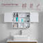 Milano 600mm x 500mm Surface Mount Mirror Cabinet