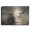 "Vache Highland in Golden Grass" par Lori Deiter sur métal-1387675255