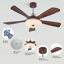 Ceiling Fan