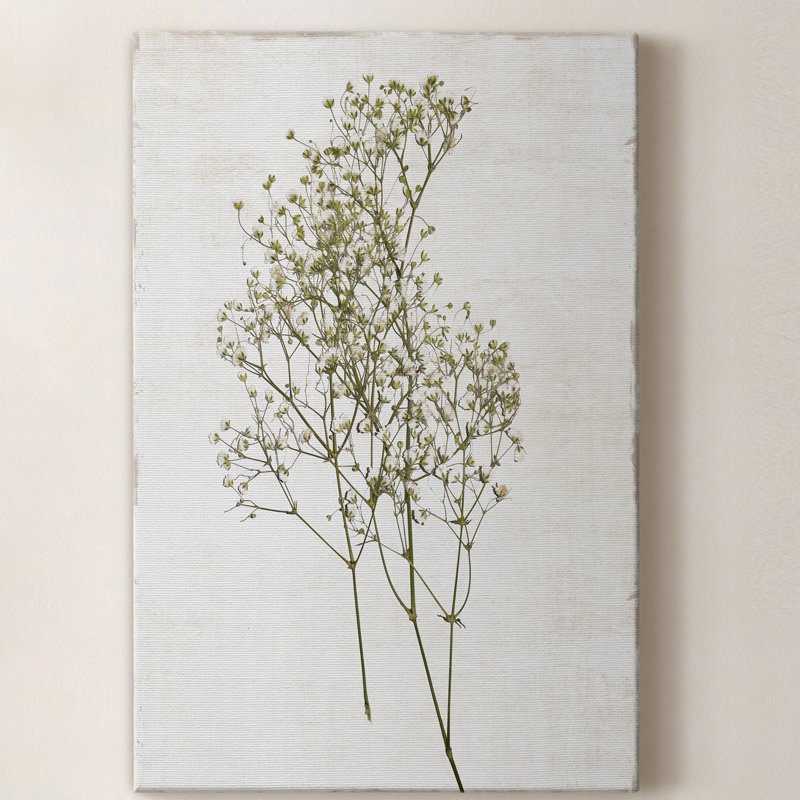 «Farmhouse Pressed Flower I», impression sur toile tendue, H 12 po x l 8 po x P 1 po