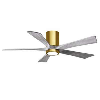 Irene Ceiling Fan with LED Light Kit