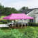 20 Ft. W x 10 Ft. D Steel Pop-Up Canopy