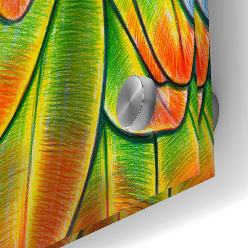 Art mural en verre Nicobar Pigeon par Tim Jeffs, H 36 po x l 24 po