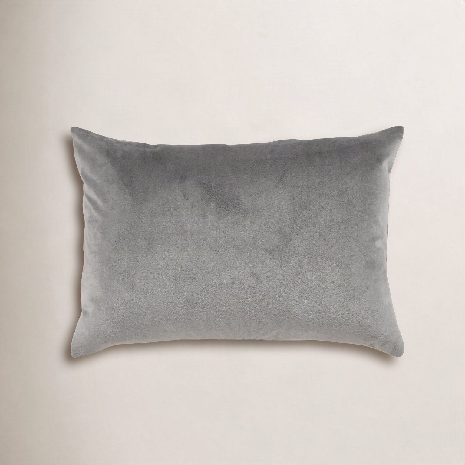 Feuily 20" x 14" Velvet Throw Pillow, Gray