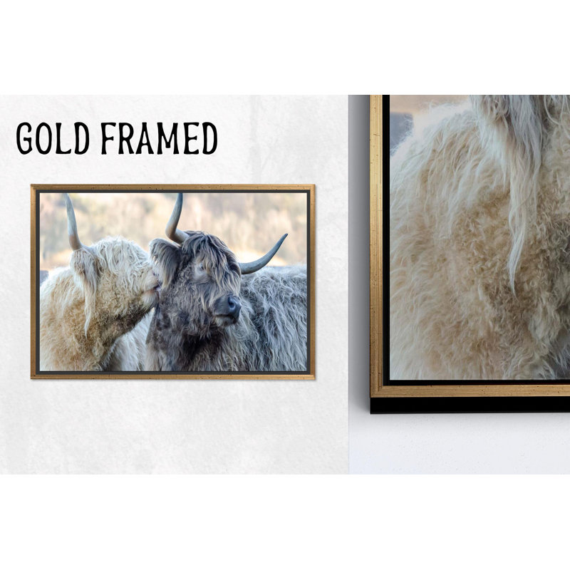 Art mural en verre trempé Highland Cow: toile imprimée décor campagne, 1P encadrée, H : 63,1 x L : 102,4 pouces