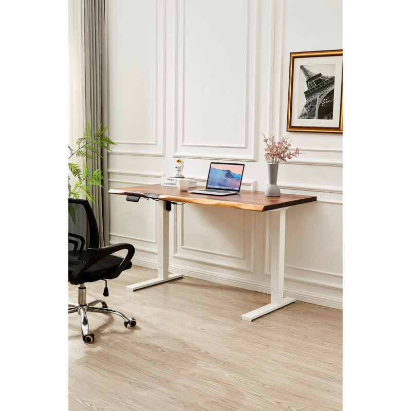 Adjustable Standing Desk with South American Walnut, Live Edge Desk, 29.5" H x 58" W x 28" D, White