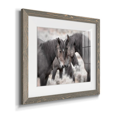 Chevaux sauvages - Photographie avec cadre photo