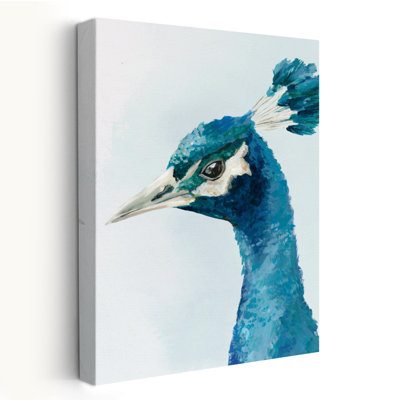 Plumage vif III - animaux peints à l'aquarelle