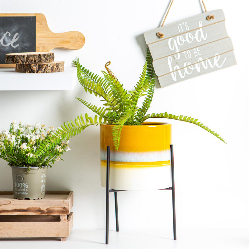 Nicola Spring - Reactive Glaze Plant Pot on Stand - 19cm, Yellow/Black