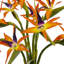 Birds Of Paradise Arrangement in Planter