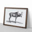 An Elk In Black And White by George Shaw - Single Picture Frame Print-55544844-55544846