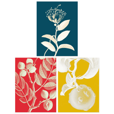 Bold Bright Botanicals Plant Tree Branch Bloom Blue Red Yellow 3 Piece Wall Art