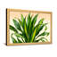 Plantes et fleurs - Motif de feuilles vertes et jaunes-299995717-299995712-299995713