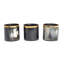 3" Ankole-Watusi Cow Horn Votive