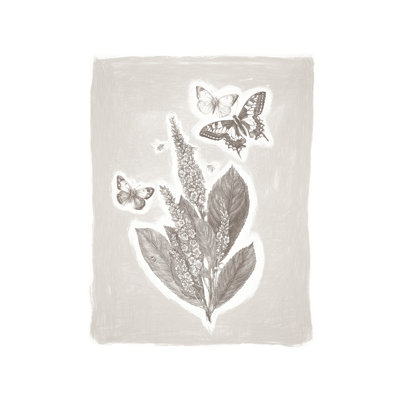 Art Prints