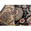 Wool Oriental Area Rug in Black/Brown