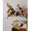 Branche de figuier artificielle de 94 cm