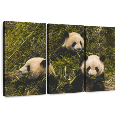 Three Hungry Pandas