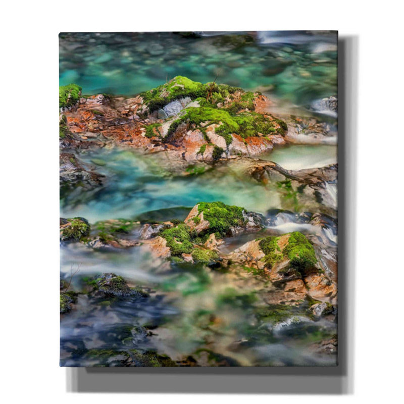 «Mossy Rocks» par Dennis Frates, art mural sur toile, H 24 po x l 20 po x P 0,75 po