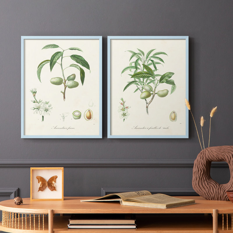 Impression encadrée botanique antique I-Premium - prête à être accrochée - aucun clou requis, Bleu, H 11 po x l 18 po