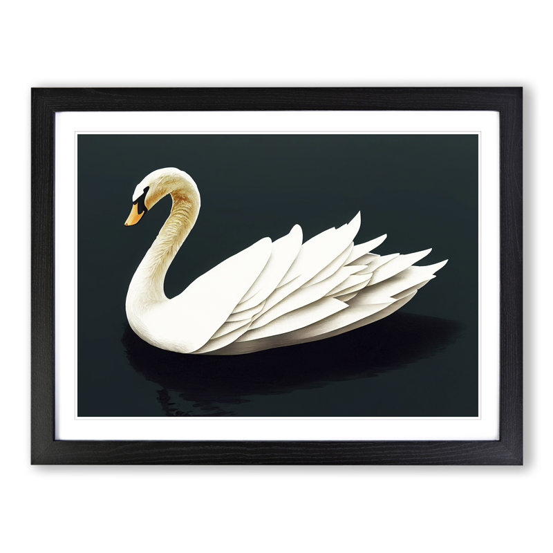 Inspirational Swan - Single Picture Frame Print, Black, 46cm H x 64cm W x 2cm D
