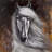 Proud horse - 32"x32" art on canvas