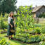 176cm H x 41.34cm W Iron + Nylon Mesh Trellis