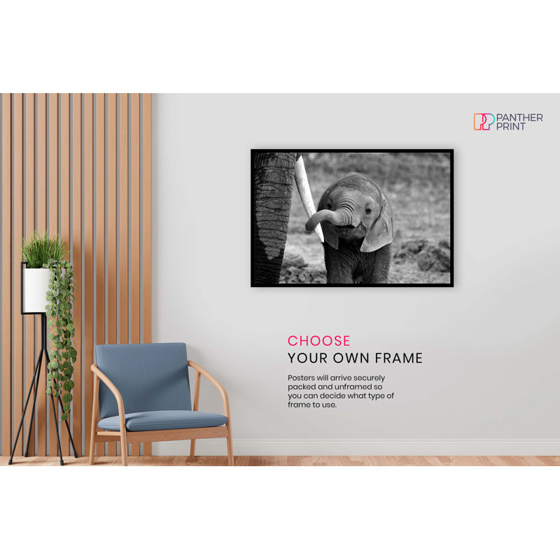 Baby Elephant Holding Mother's Tusk Close Up - No Frame Print, 76cm H x 51cm W