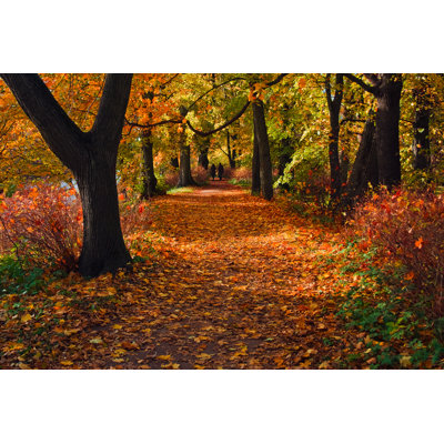 Walking In Park - Wrapped Canvas Print