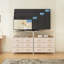 Leovani Steel 80 cm W Chest of 6 Drawers-1959043056
