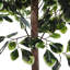 185cm Faux Zamioculcas Tree in Freestanding