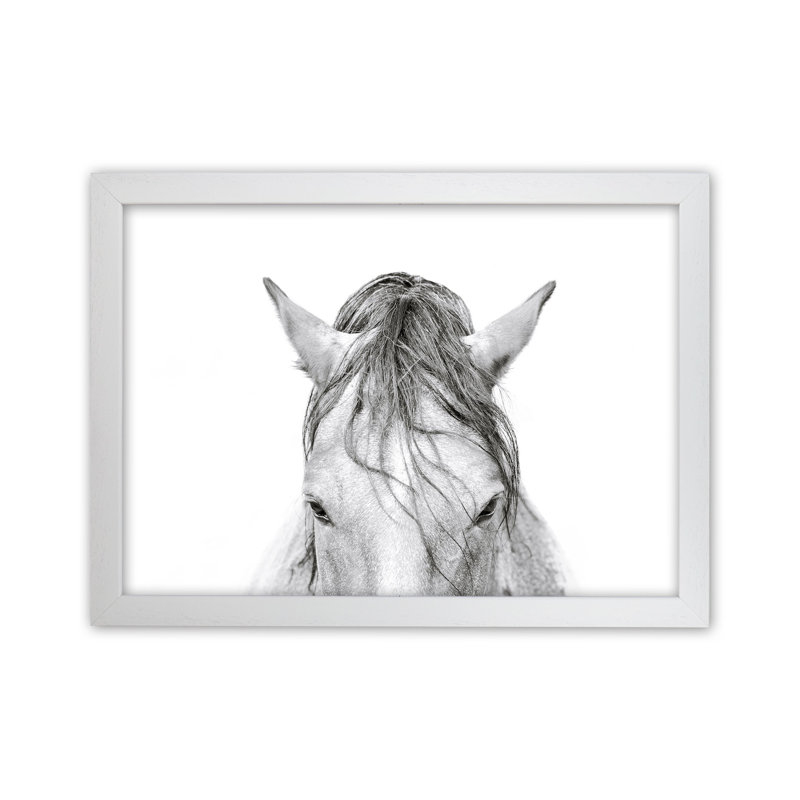 Horse II by Victoria Frost - Print, 46cm H x 63cm W x 3cm D, White Framed
