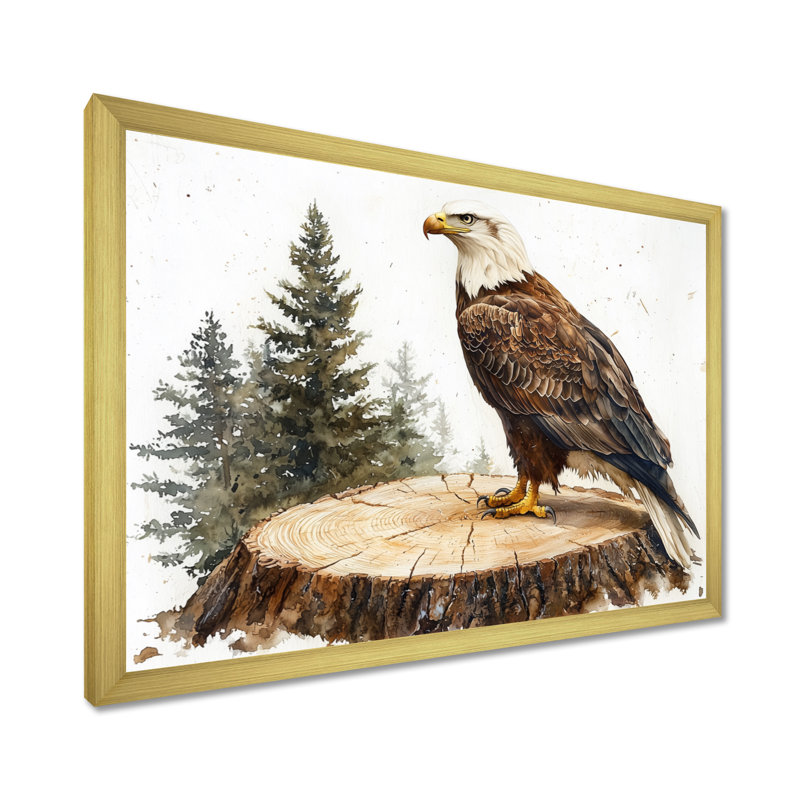 Gillean Eagle Silent Vigil In Summer - Eagle, art mural, Reproduction encadrée d'une seule photo, H 24 po x l 32 po, Doré