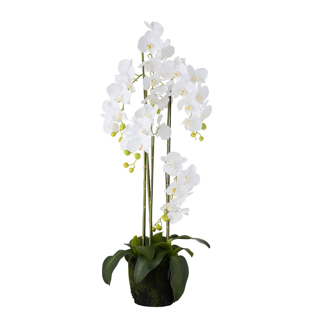 2-tlg. Set Kunstpflanze Orchidee im Topf