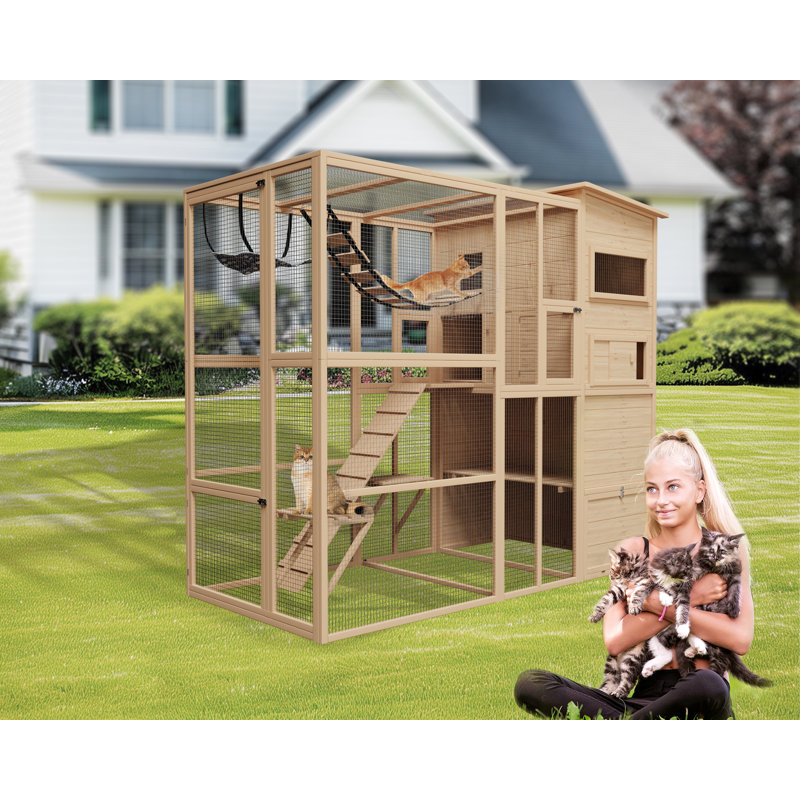 Enclos pour chat Tucker Murphy Pet Catio, Burlywood