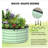 2 Pcs Oval Raised Garden Bed,Galvanized Raised Beds,Open-Ended Base Metal Raised Planter Beds,Garden Bed Outdoor,Planter Raised Boxes for Vegetables,Flowers,Tool-Free Asse-872892126-872892127