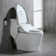 One Piece Toilet with Electric Smart Bidet Seat,Rear/Front Wash,Heated Seat,Wireless Remote,Advanced