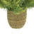 Polysilk Astilbe Arrangement in Pot