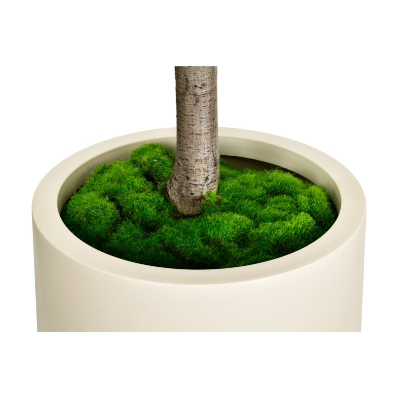 Artificial Olive Tree in White Decor Pot, 78.75" H x 41.25" W x 39.5" D