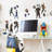 Fantasy & Sci-Fi Non-Wall Damaging Wall Decal