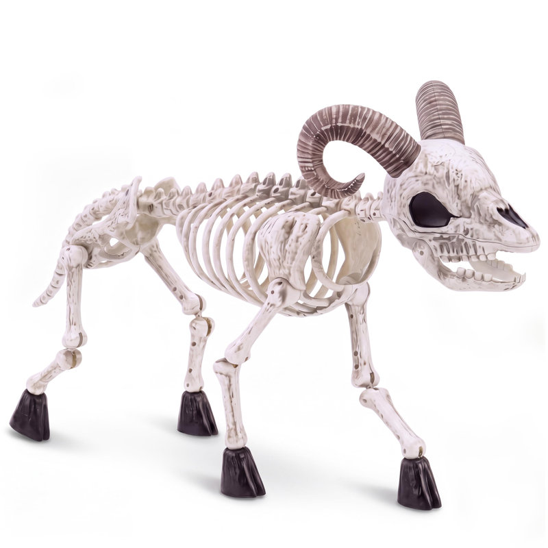 36“ Goat Skeleton